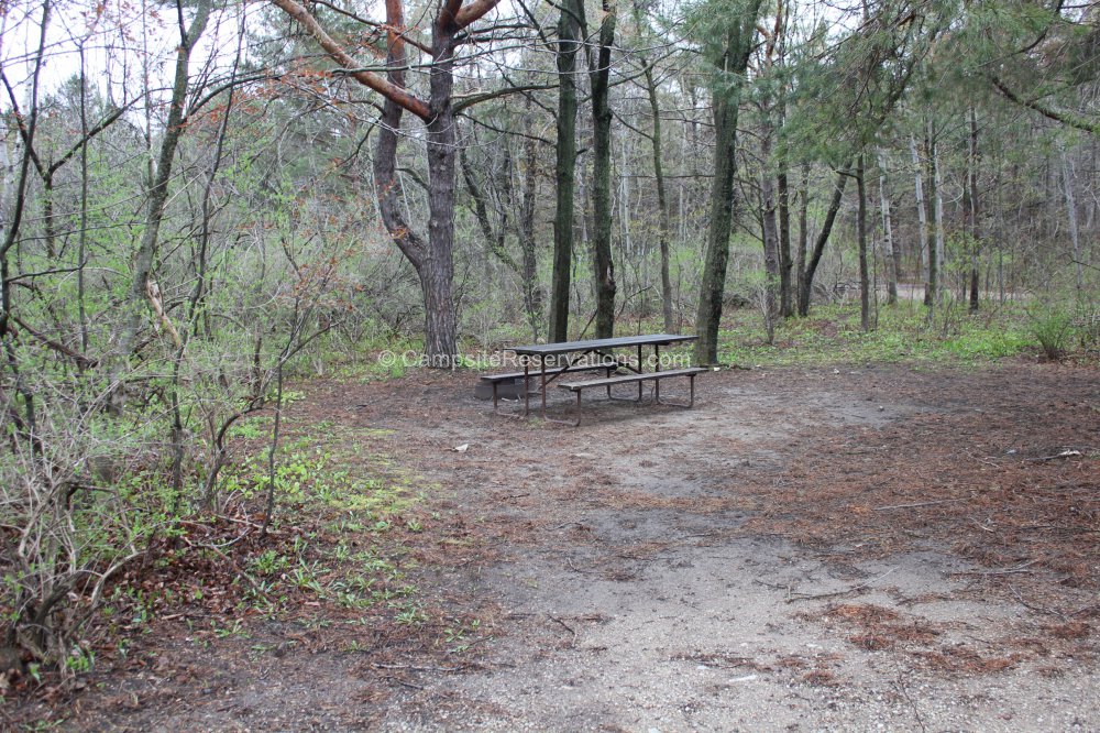 Photo of Campsite 454 in Tennison Bay Campground at Peninsula State